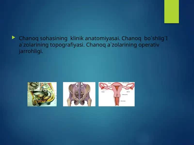 Chanoq sohasinin gklinikan atomiyasai