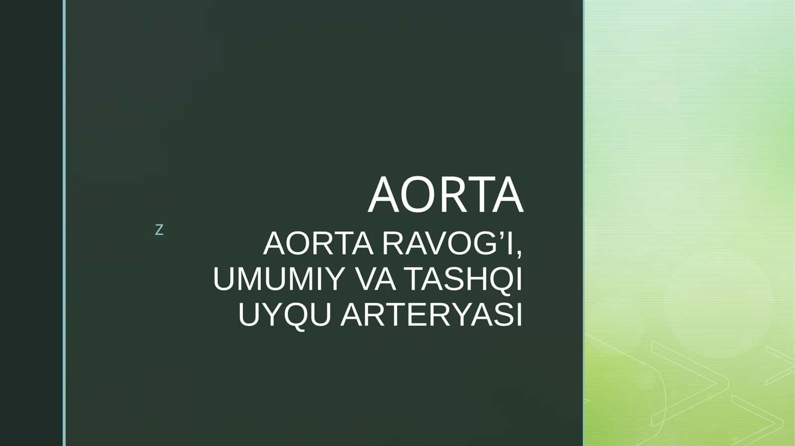 AORTA RAVOG’I, UMUMIY VA TASHQI UYQU ARTERYASI