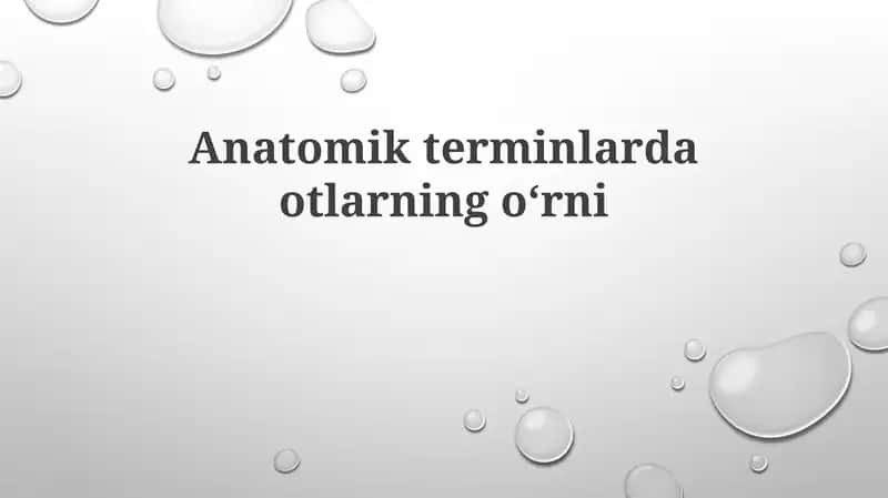 Anatomik terminlarda otlarning oʻrni