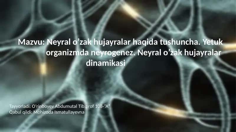 Neyralo’zakhujayralarhaqidatushuncha