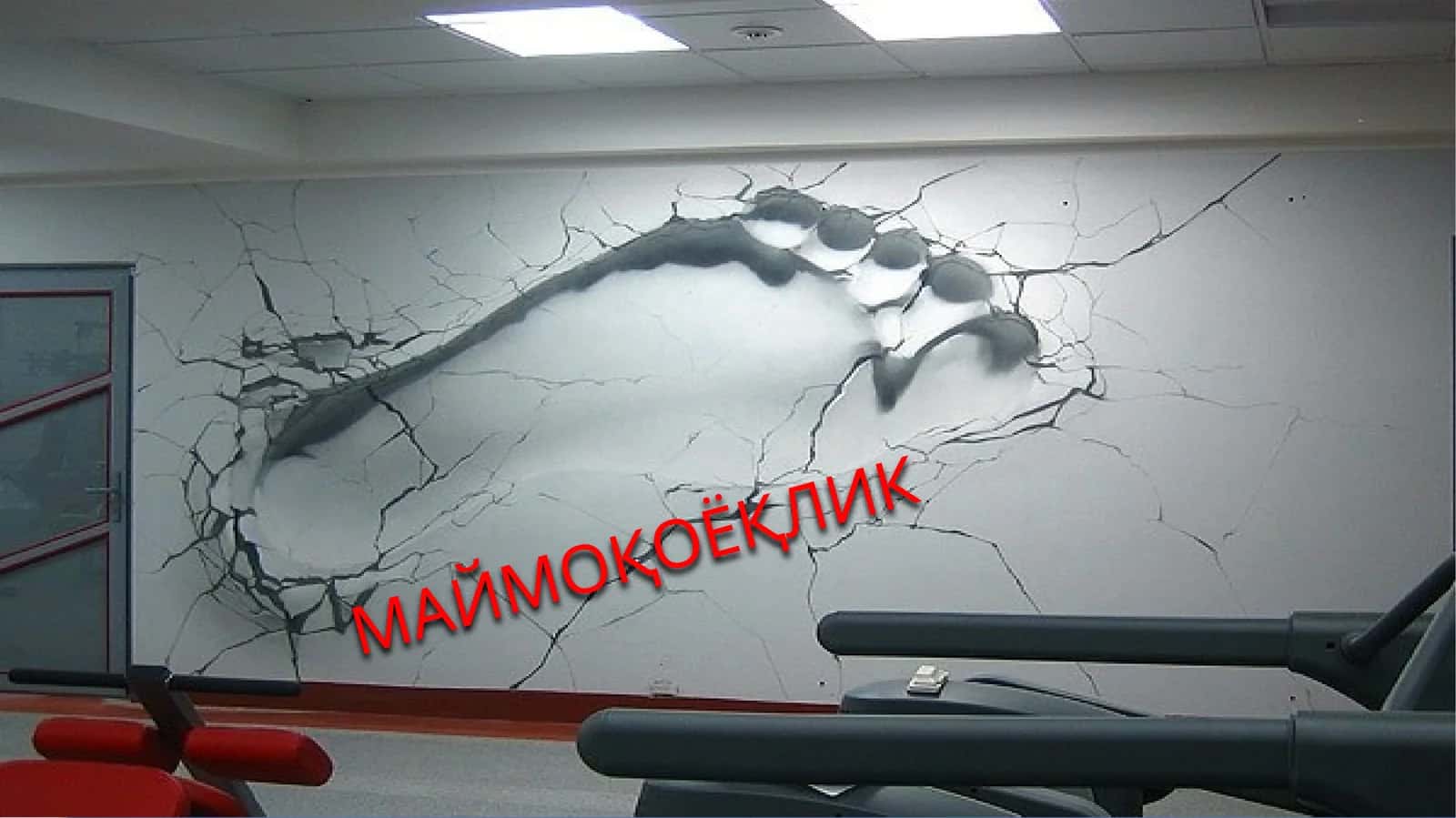 МАЙМОҚОЁҚЛИК