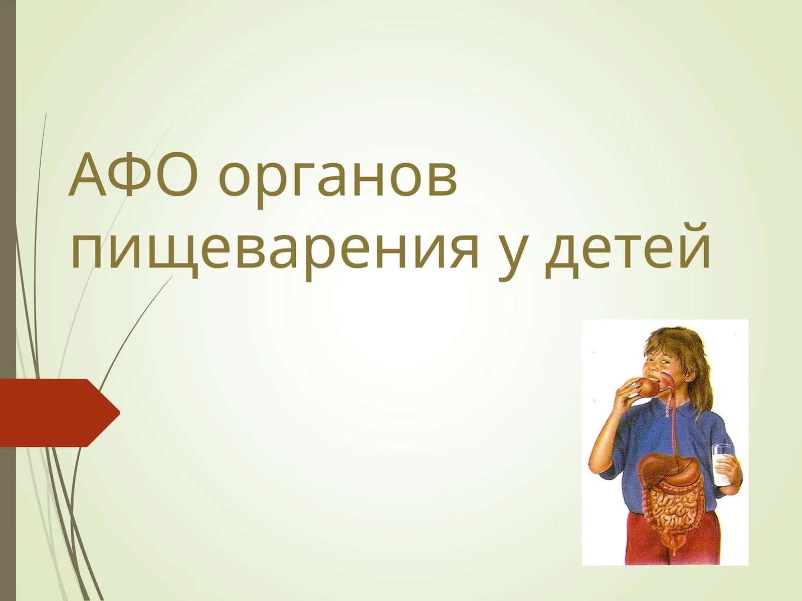 АФО Органы пищеварения у детей