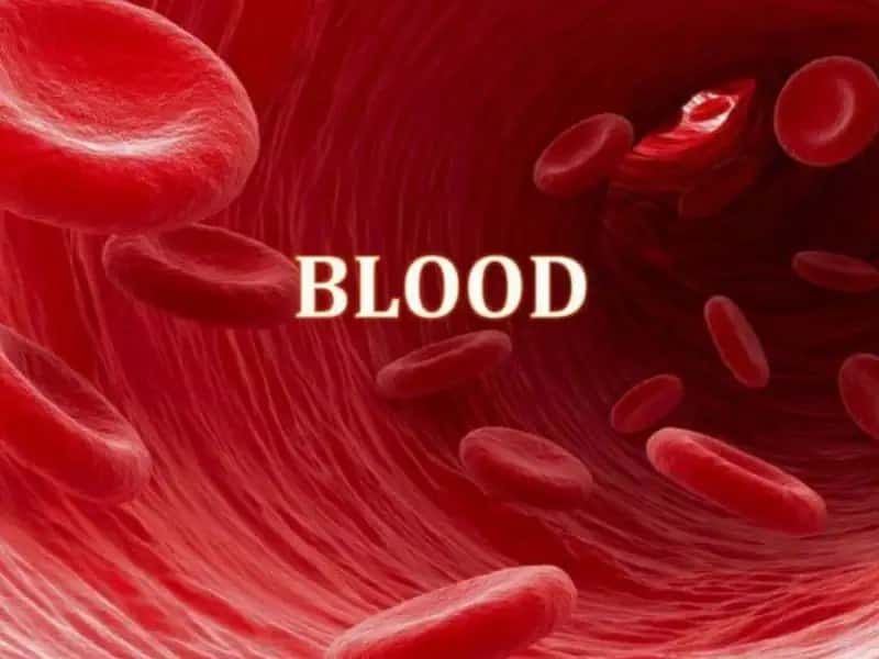 Components of Blood