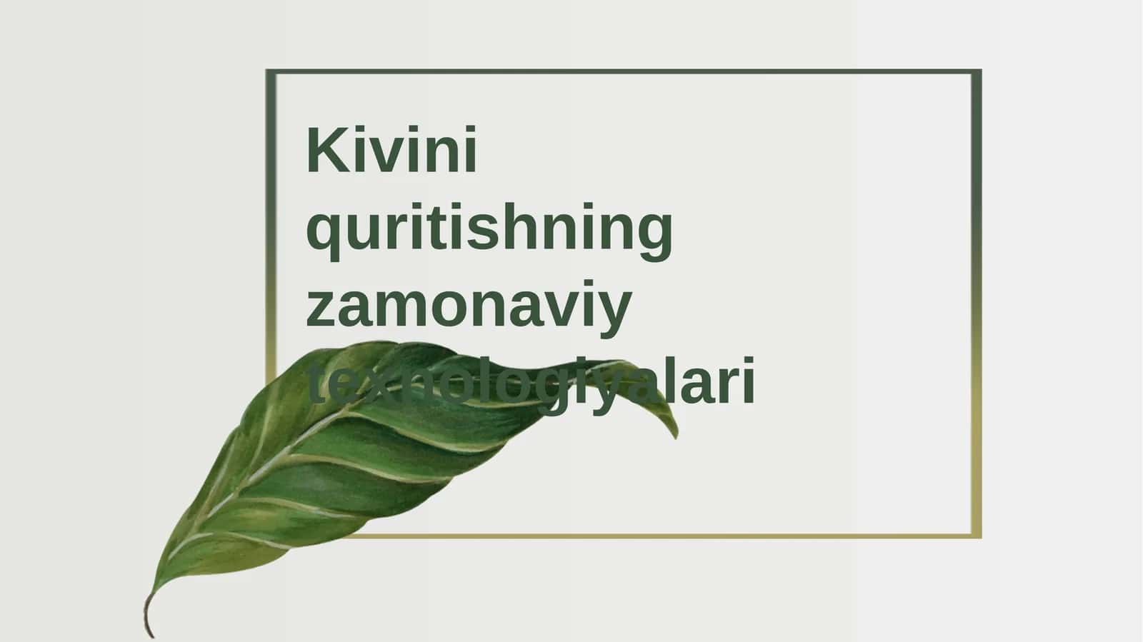 Kivini quritishning zamonaviy texnologiyalari