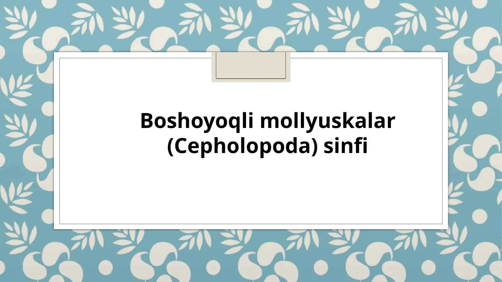 Boshoyoqlim ollyuskalar (Cepholopoda) sinfi