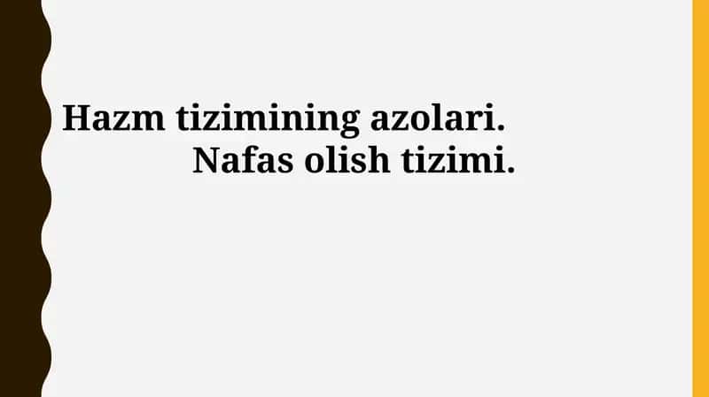 Ovqat hazm qilish tizimi