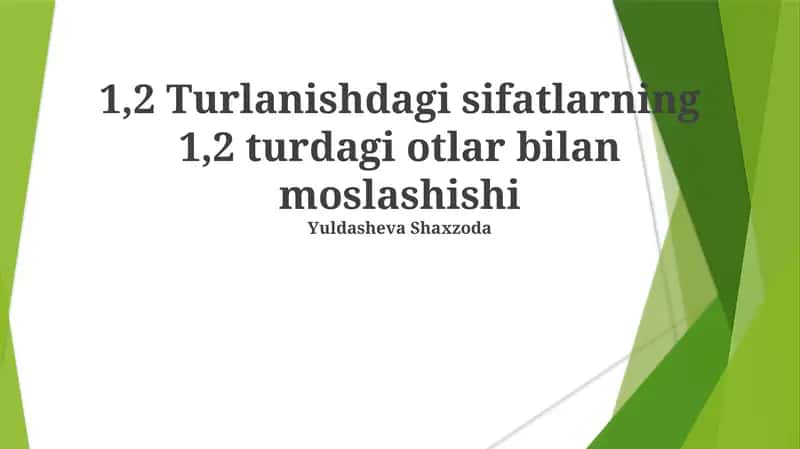 1,2 Turlanishdagi sifatlarning 1,2 turdagi otlar bilan moslashishi