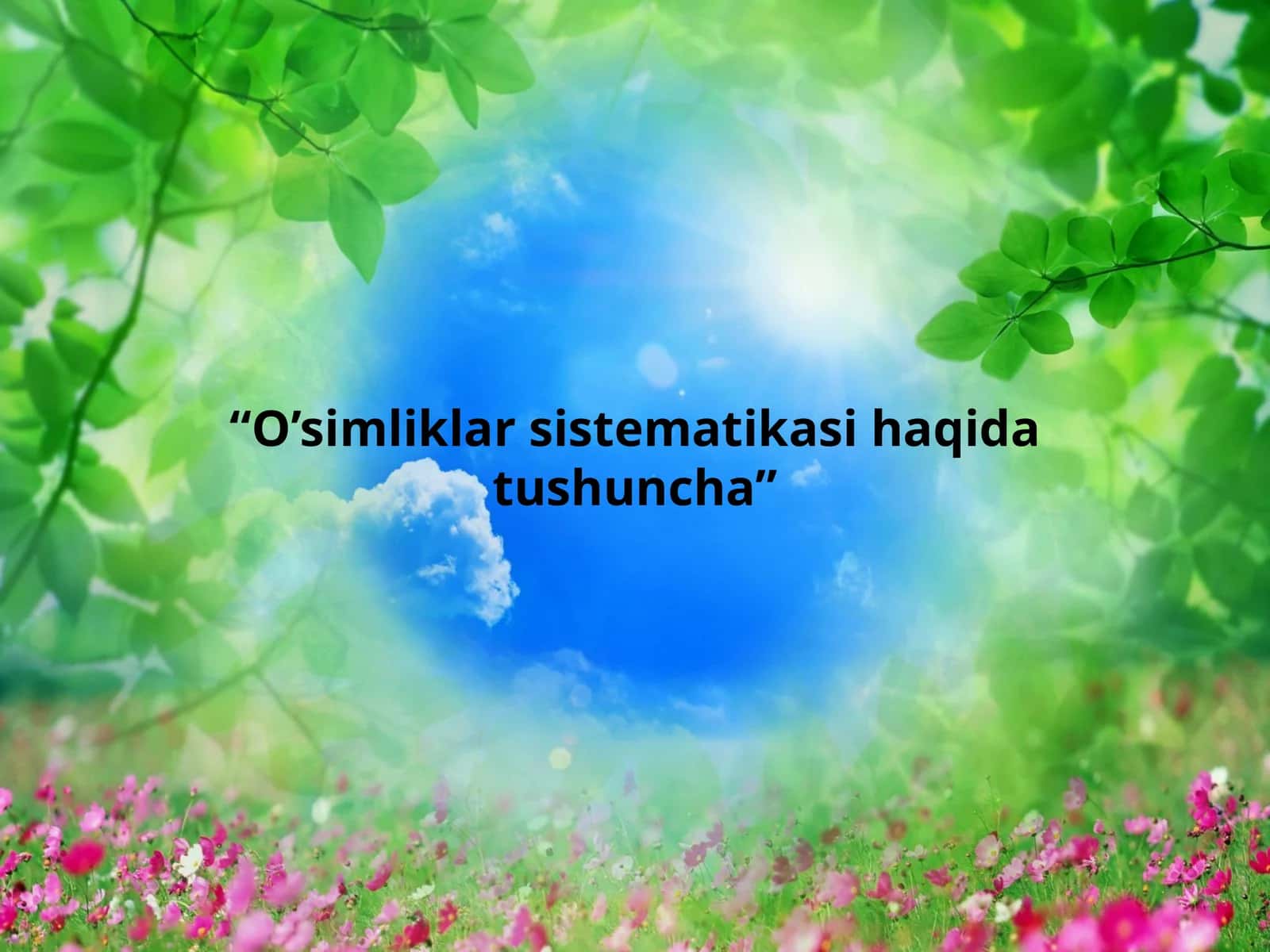 O’simliklar sistematikasi haqida tushuncha