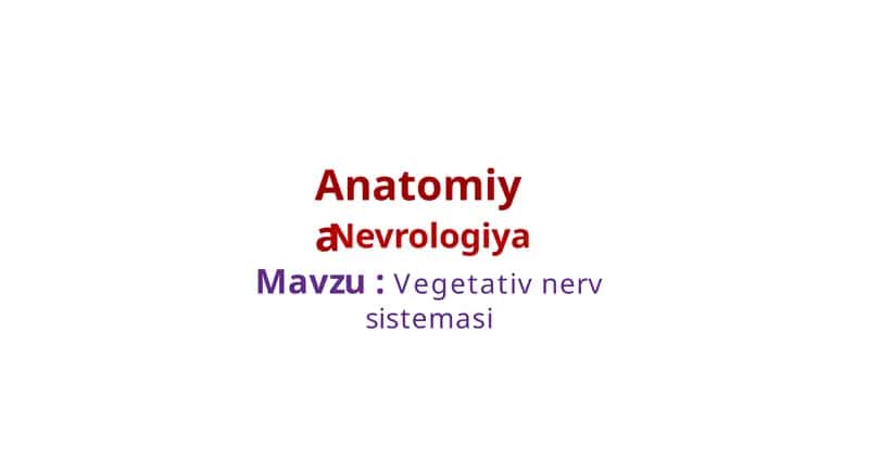 Anatomiya