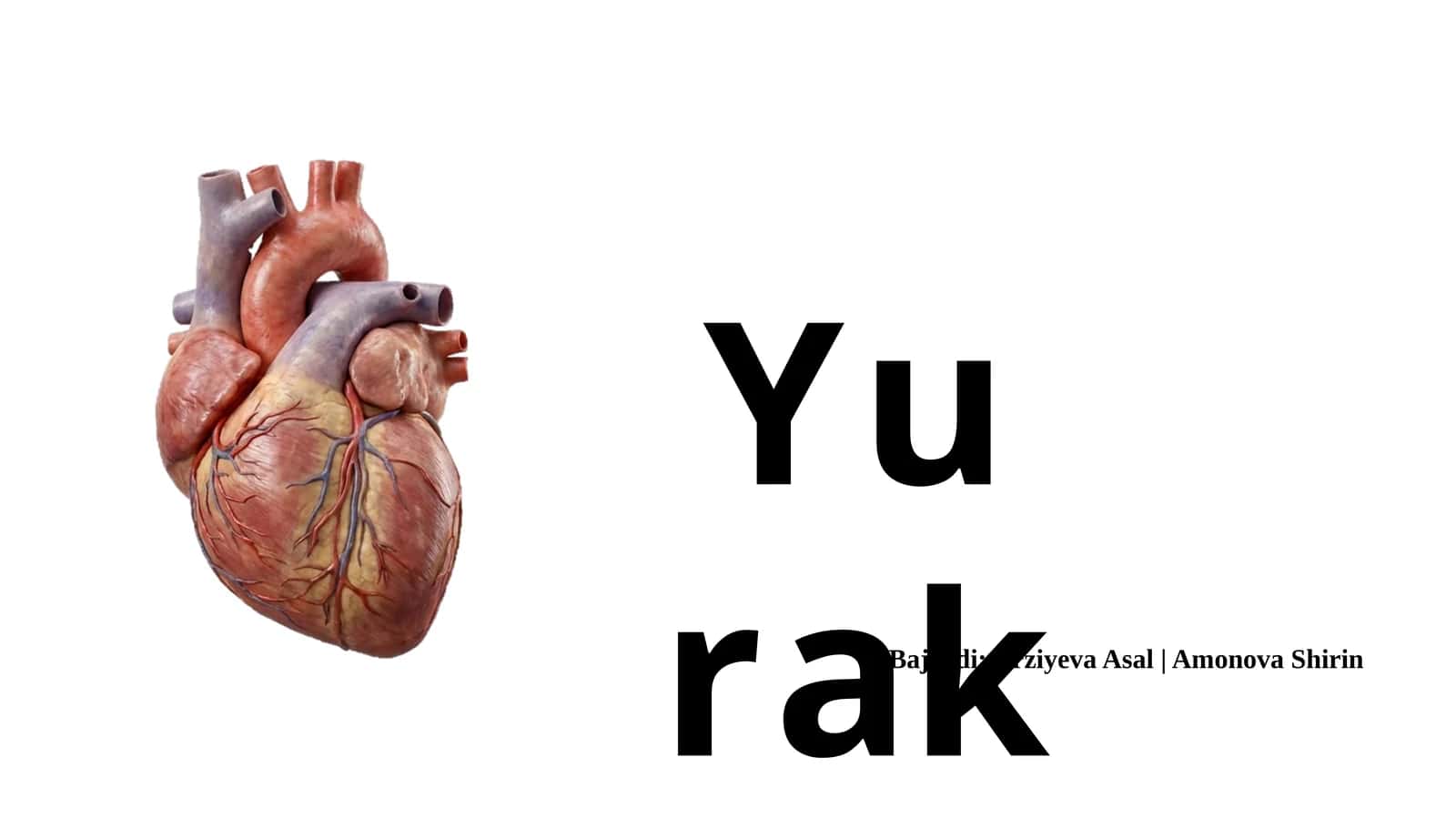 Yurak