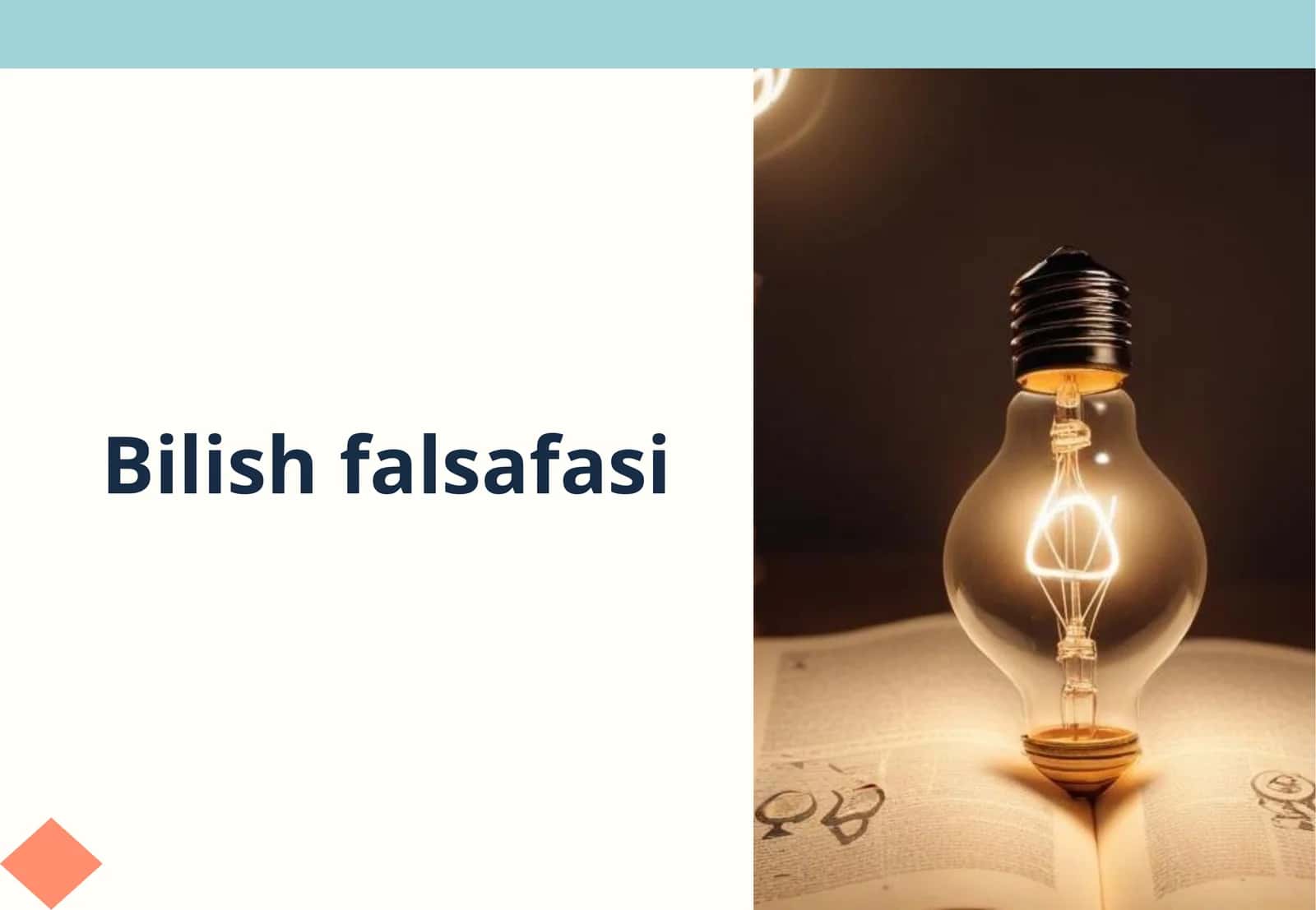 Bilishfalsafasi