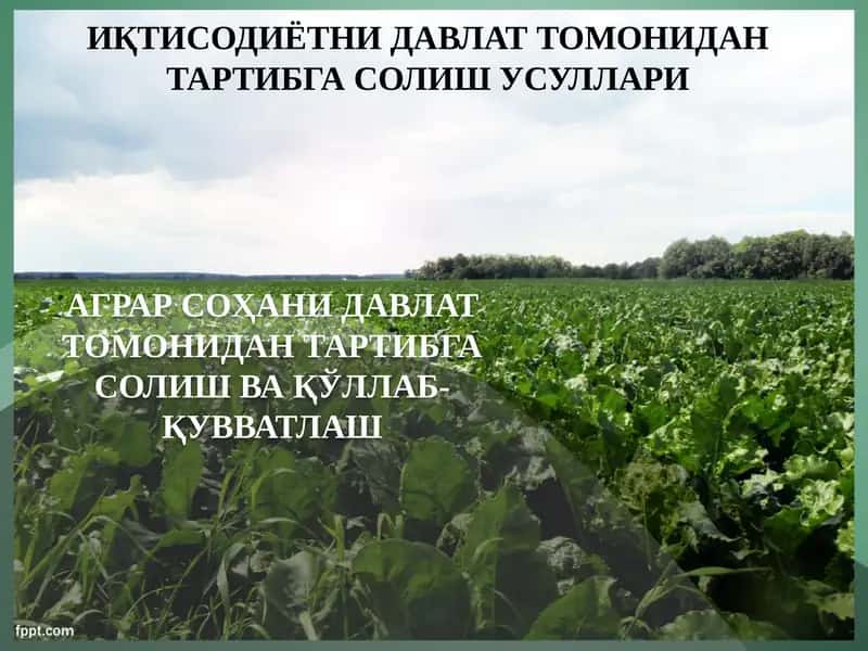 Agrar sohani davlat tomonidan tartibga solish va qo‘llab-quvvatlash