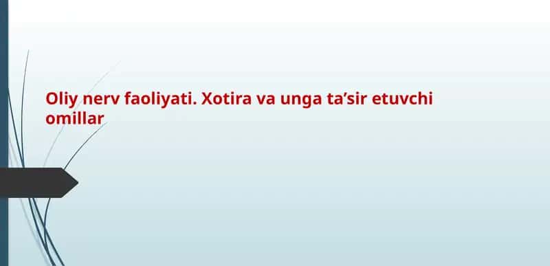 Oliy nerv faoliyati. Xotira va unga ta’sir etuvchi omillar
