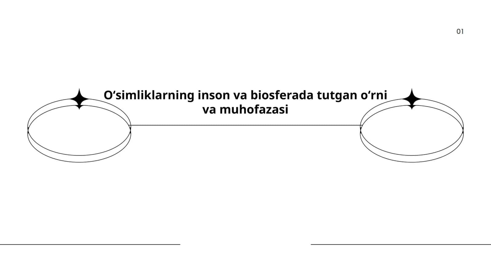 O'simliklarning inson va biosferada tutgan oʻrni va muhofazasi