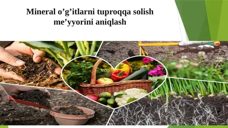 Mineral o’g’itlarni tuproqqa solish me’yyorini aniqlash