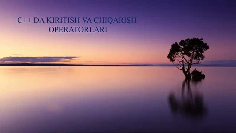 C++ DA KIRITISH VA CHIQARISH OPERATORLARI