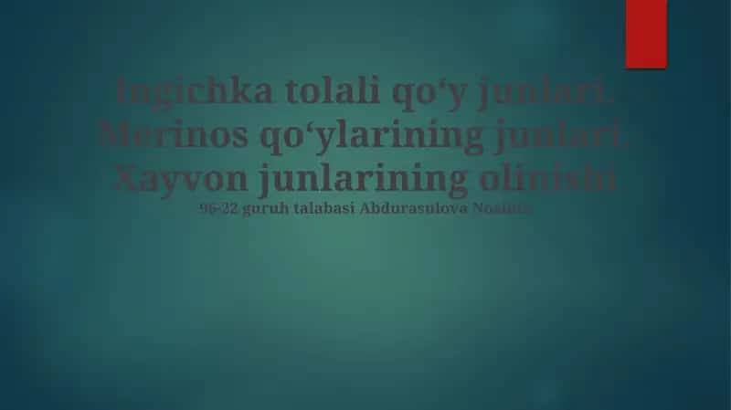 Nozik junli qo'ylar junini