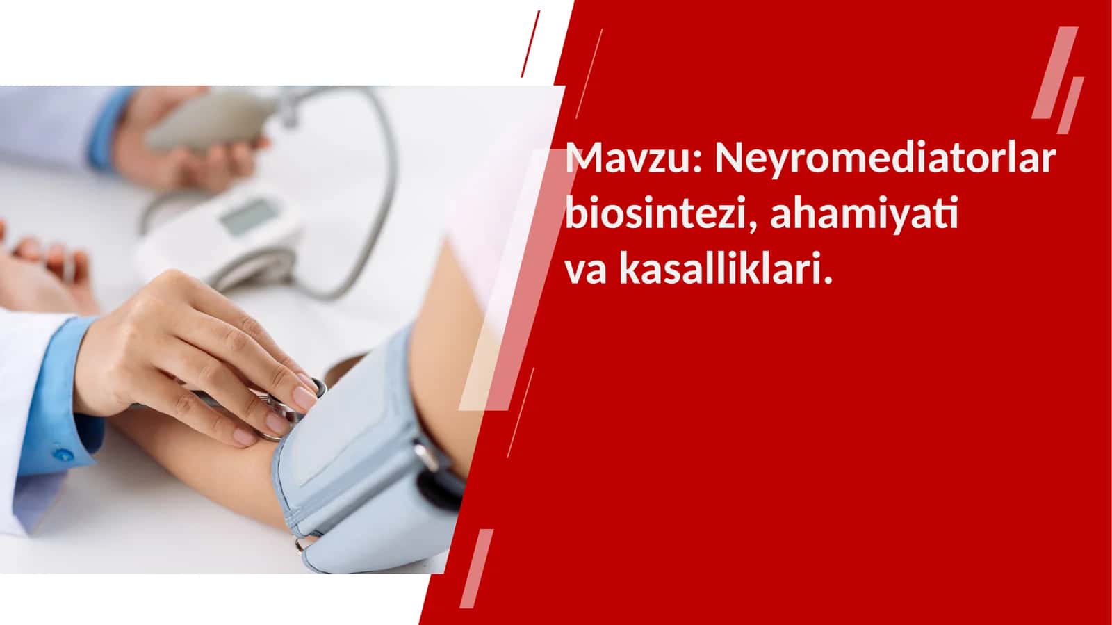 Neyromediatorlar biosintezi, ahamiyati va kasalliklari