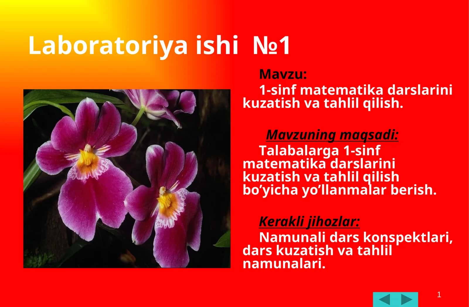 1-sinf matematikadarslarinikuzatishvatahlilqilish
