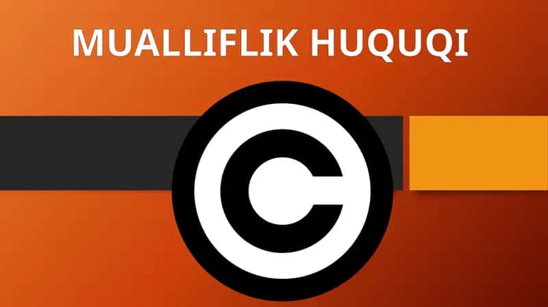 Mualliflik Huquqi