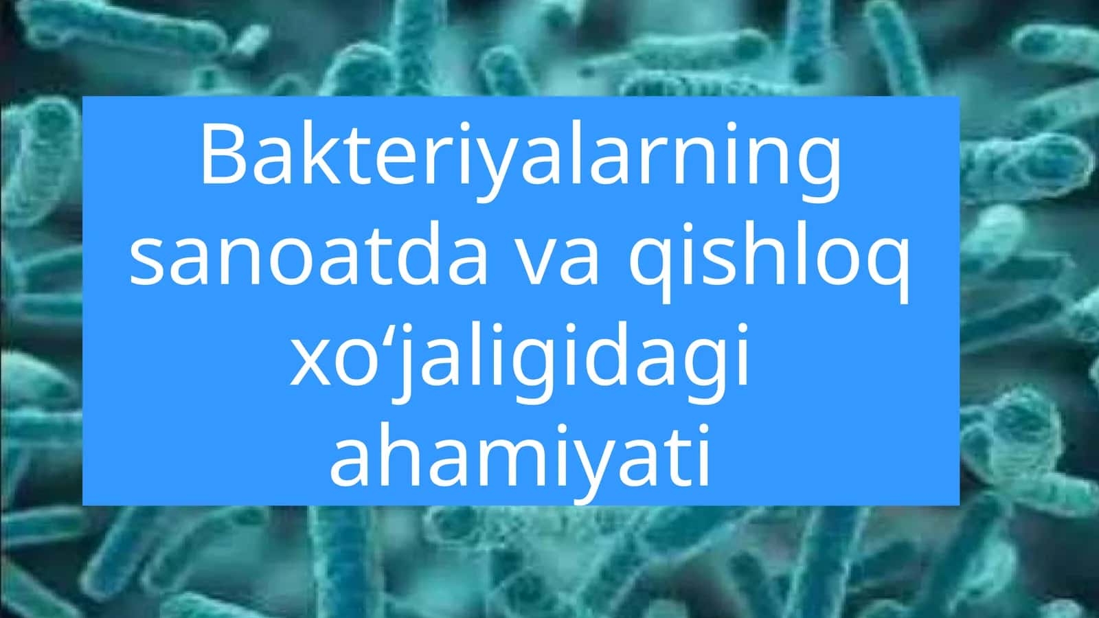 Bakteriyalarning sanoatda va qishloq xoʻjaligidagi ahamiyati