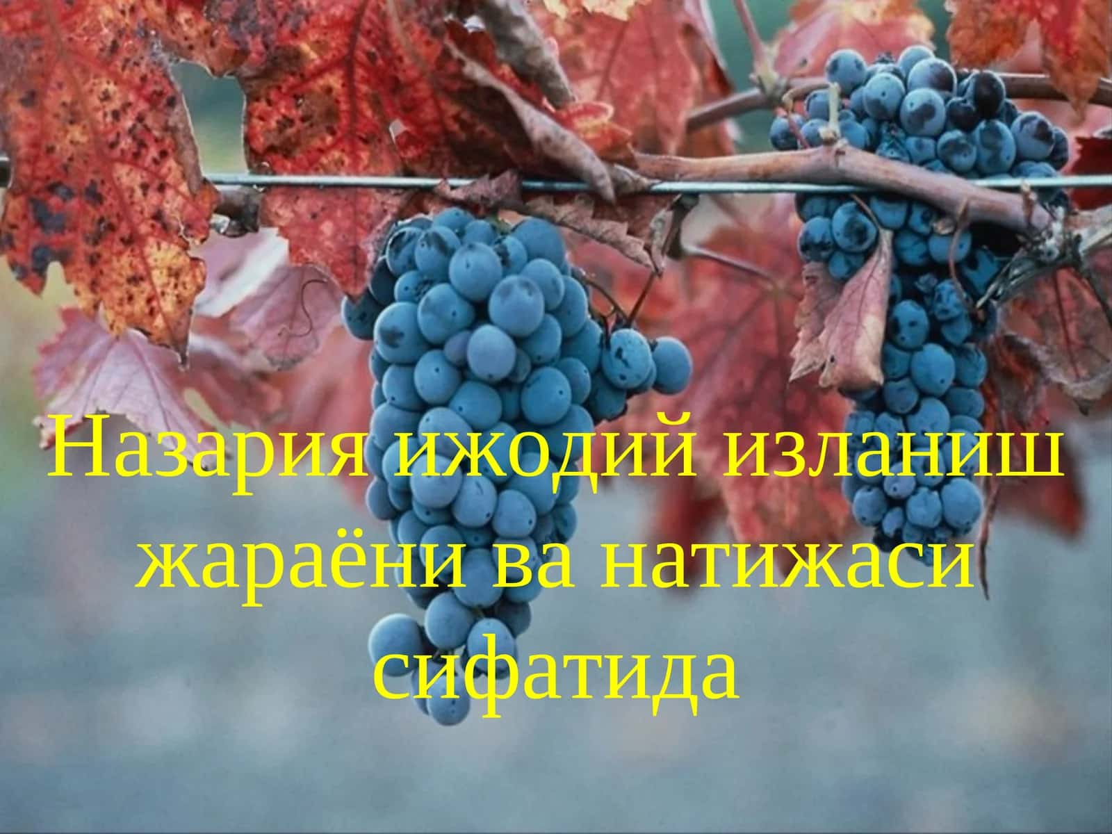 Назария ижодий изланиш жараёни
