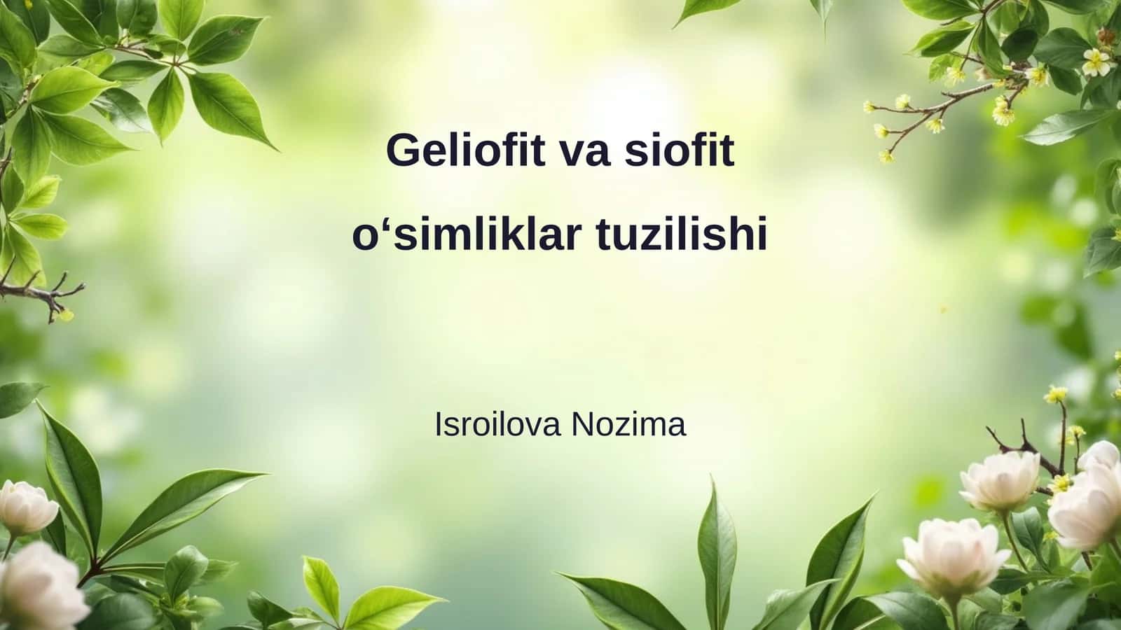 Geliofit va siofit oʻsimliklar tuzilishi