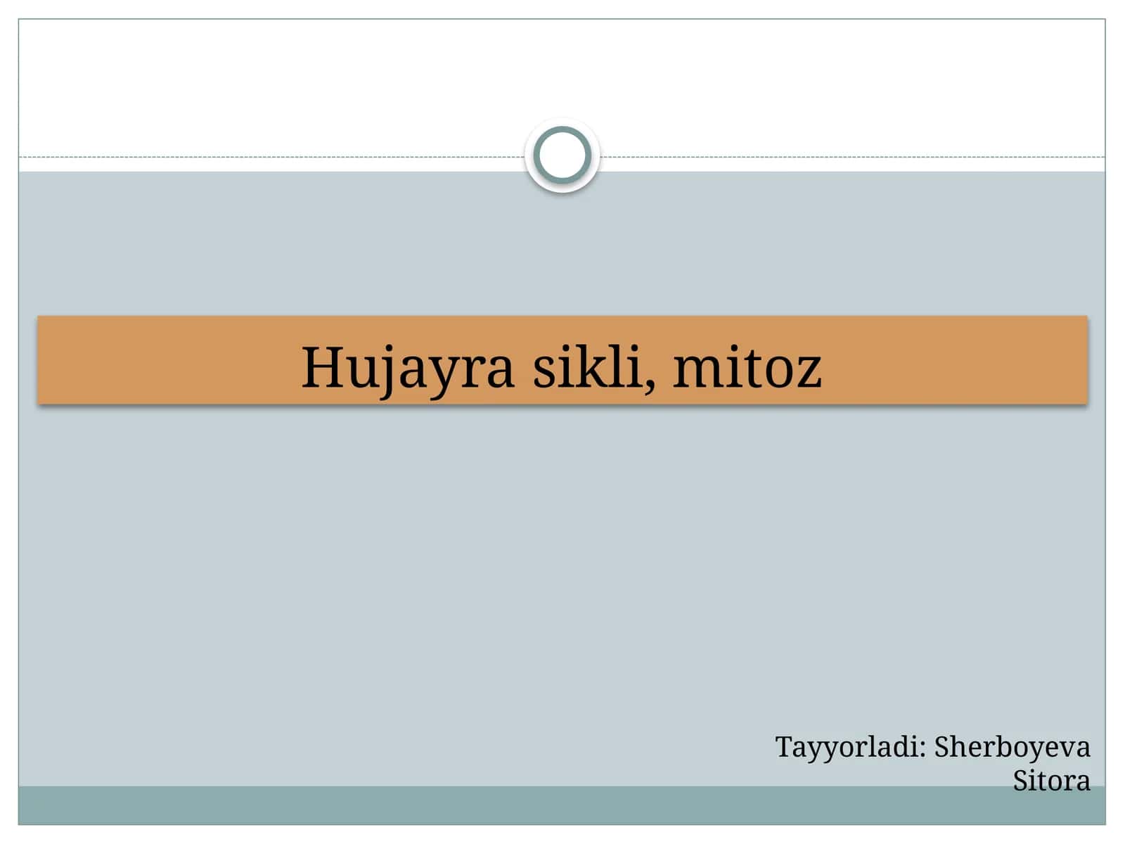 Hujayrasikli, mitoz