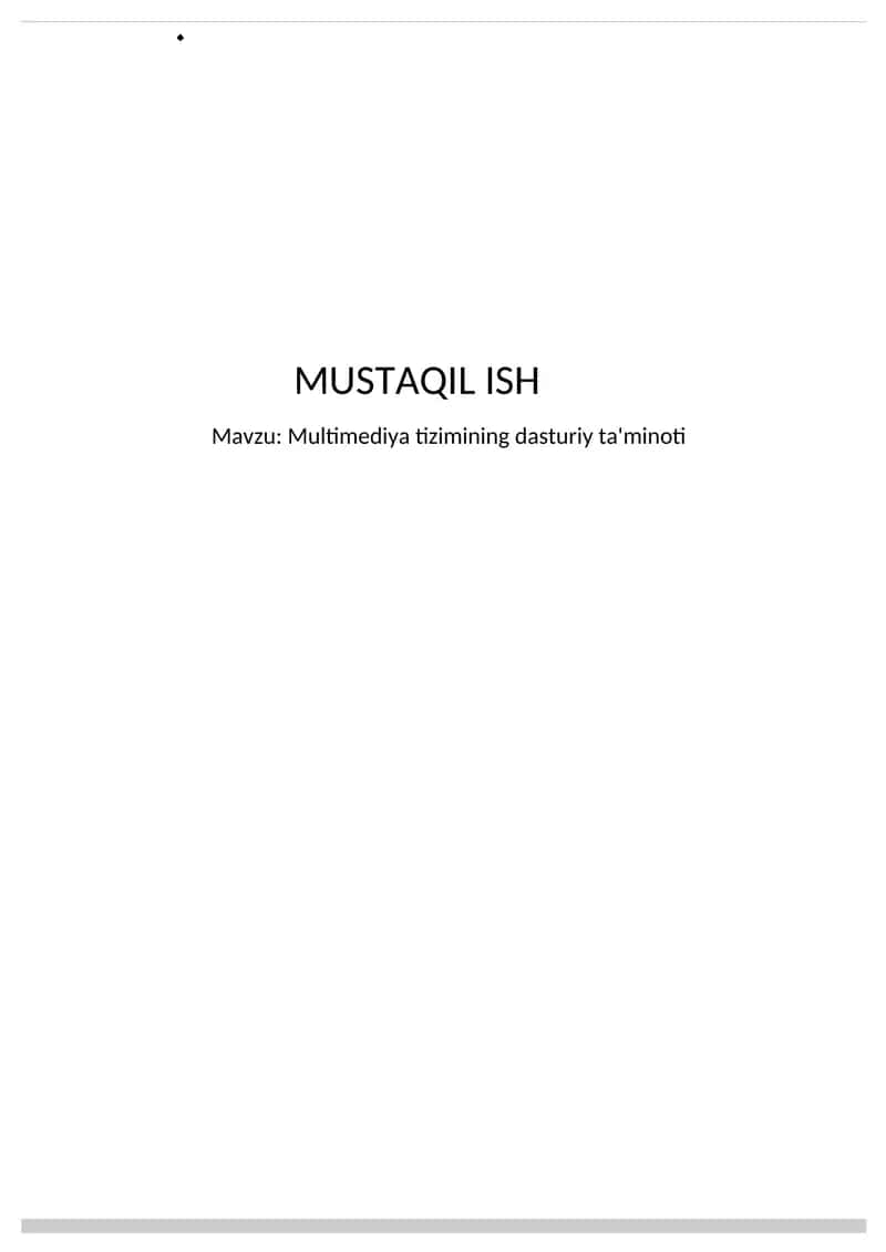 Multimediya tizimining dasturiy ta'minoti