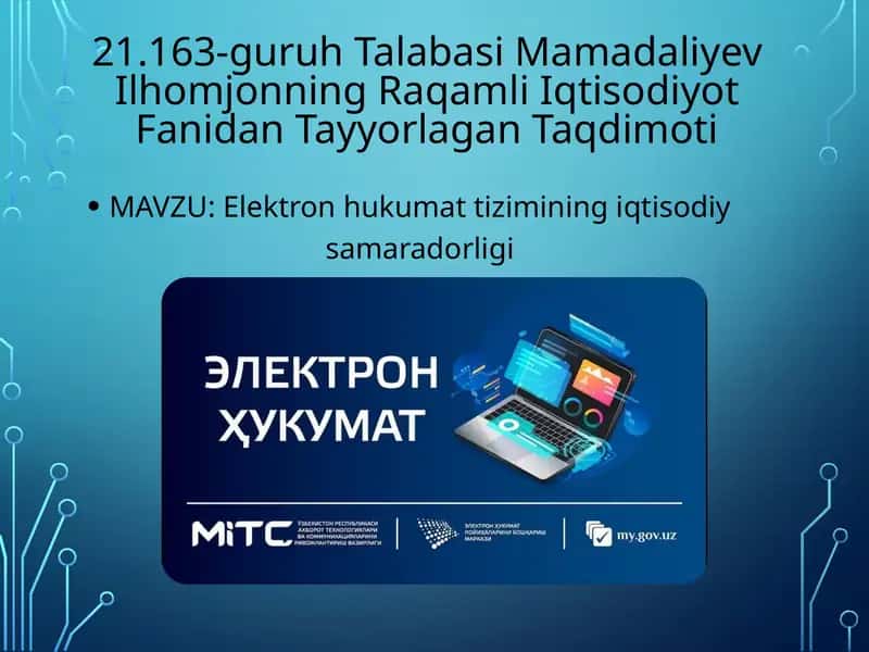 Elektronhukumatning iqtisodiy samaradorligi