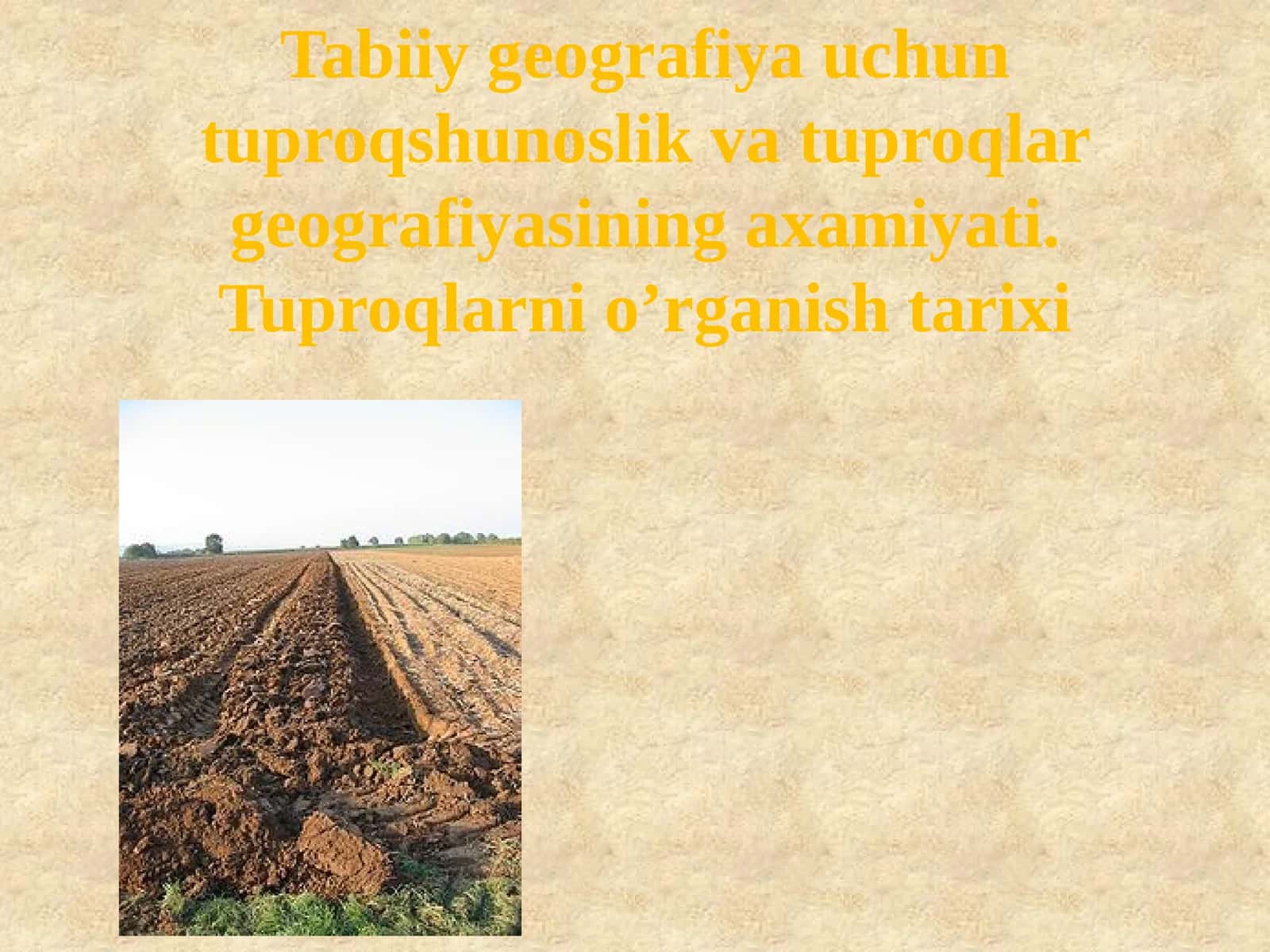 Tabiiy geografiya uchun tuproqshunoslik va tuproqlar geografiyasining axamiyati. Tuproqlarni o’rganish tarixi