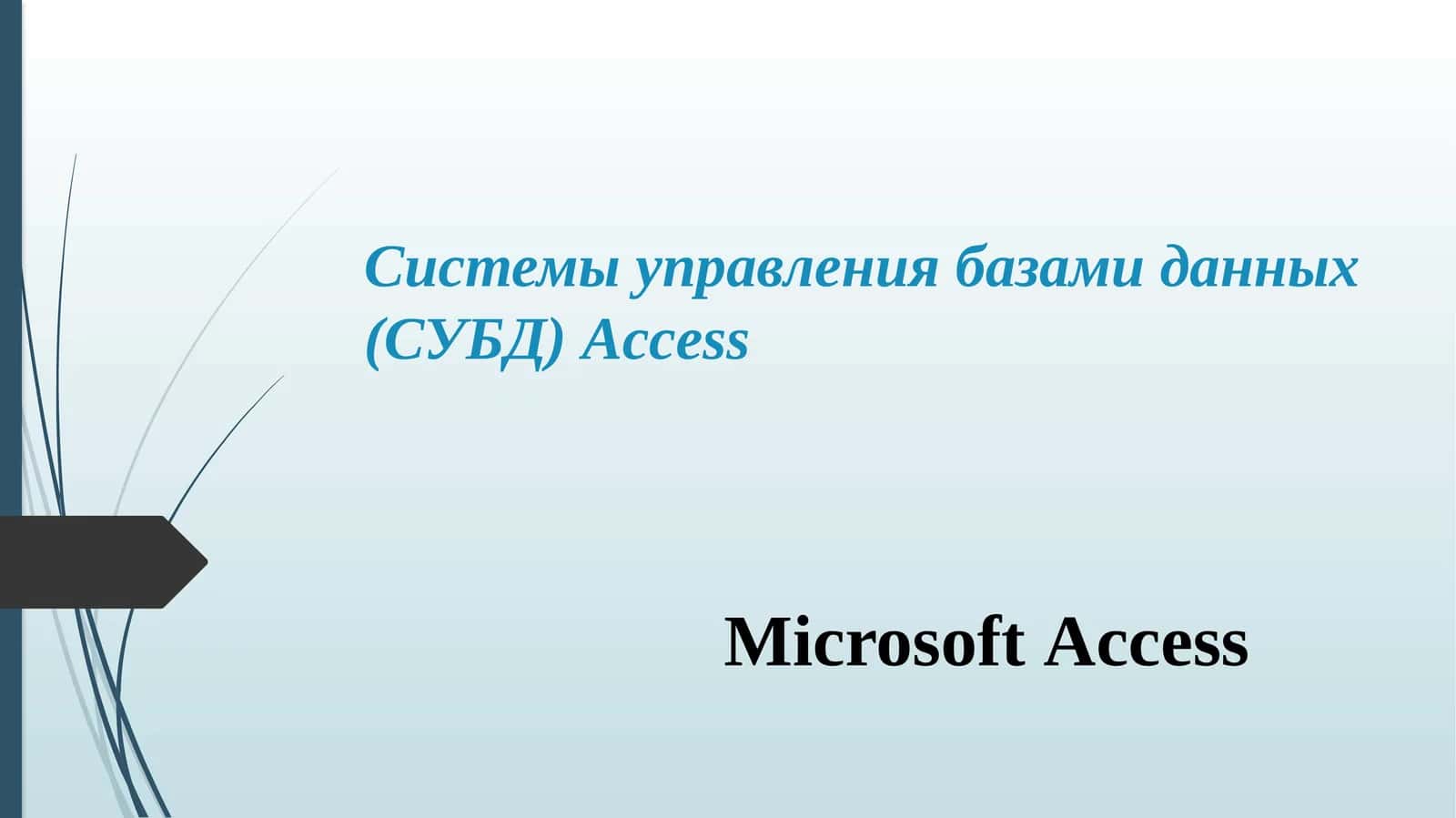 Microsoft Access