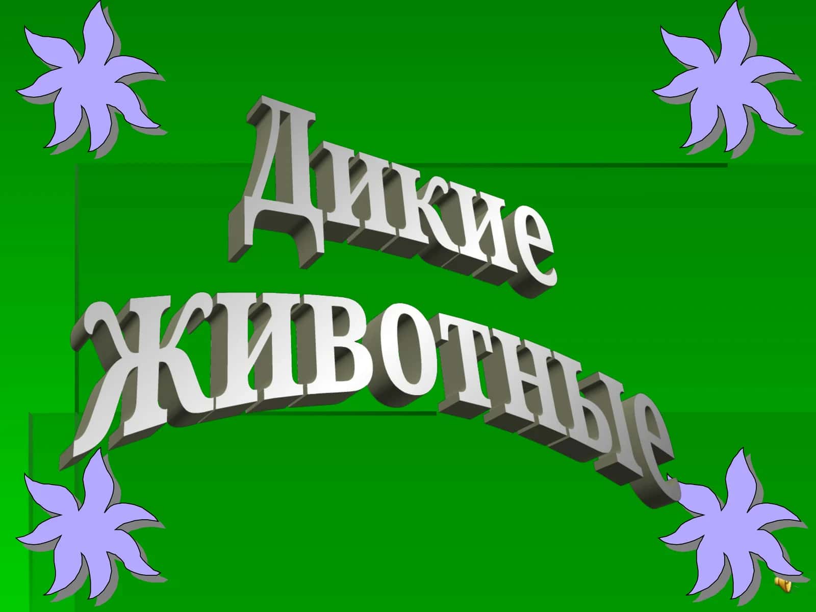 Тигр, Тигрёнок, Лев, Рысь