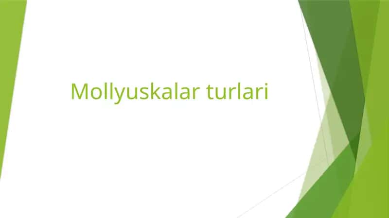 Mollyuskalar turlari
