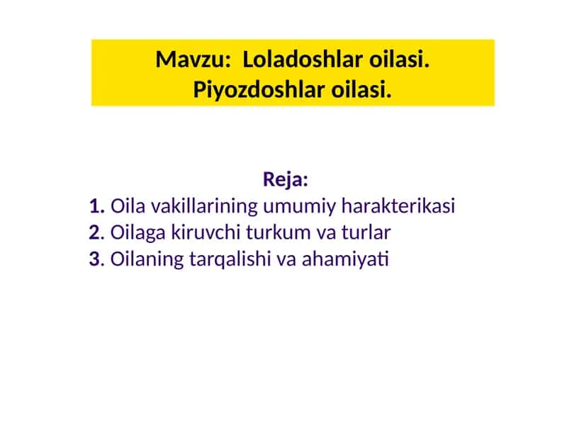 Loladoshlar oilasi. Piyozdoshlar oilasi