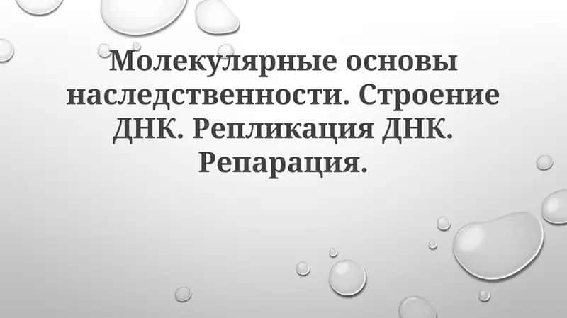Молекулярные основы наследственности. Строение ДНК. Репликация ДНК. Репарация