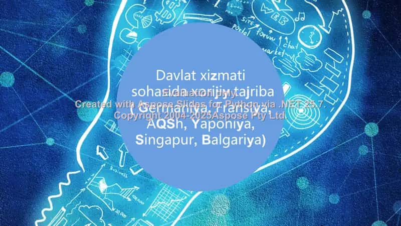 Davlat xizmati sohasida xorijiy tajriba