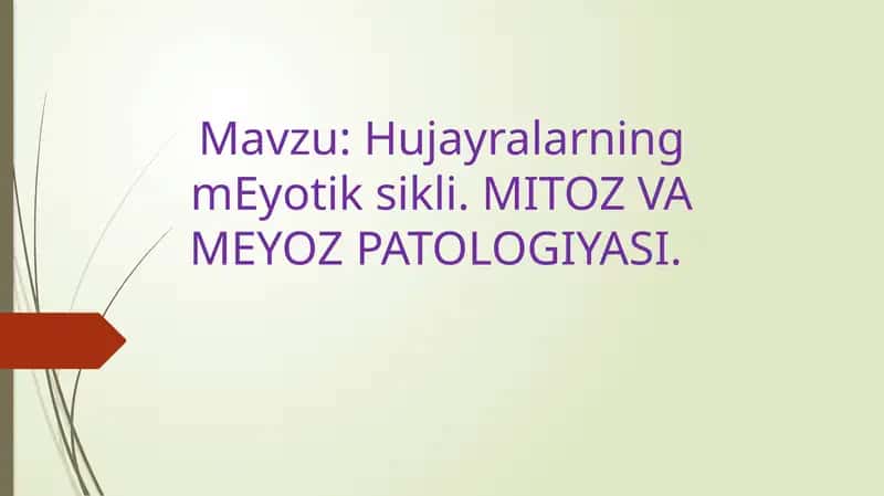 Hujayralarning mEyotik sikli. MITOZ VA MEYOZ PATOLOGIYASI.