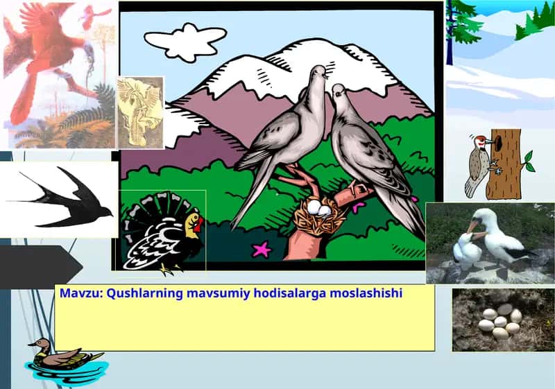 Qushlarning mavsumiy hodisalarga moslashishi