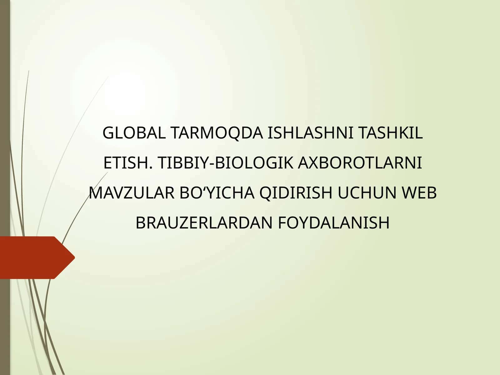 Global tarmoqda ishlashni tashkil etish