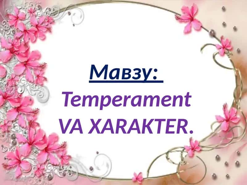 Temperament VA XARAKTER