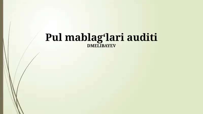Pul mablagʻlari auditi