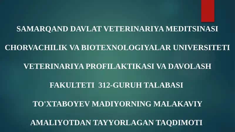 TALABASI TO'XTABOYEV MADIYORNING MALAKAVIY AMALIYOTDAN TAYYORLAGAN TAQDIMOTI