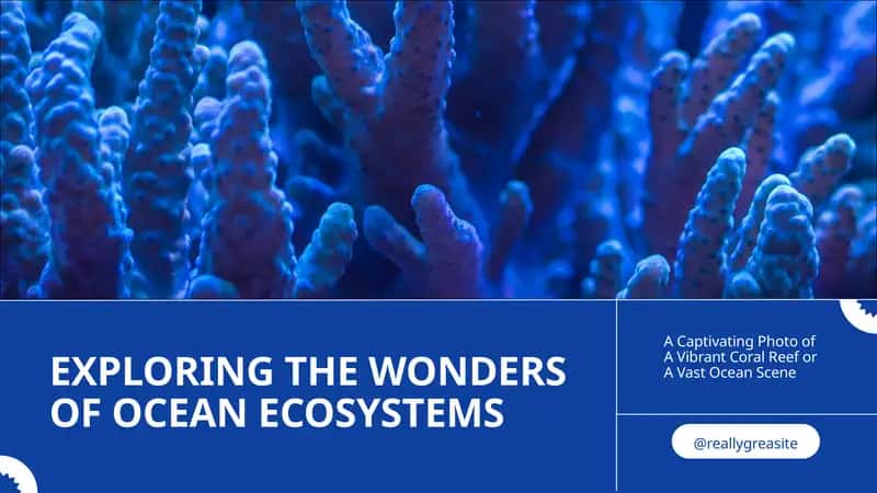 Coral Reefs