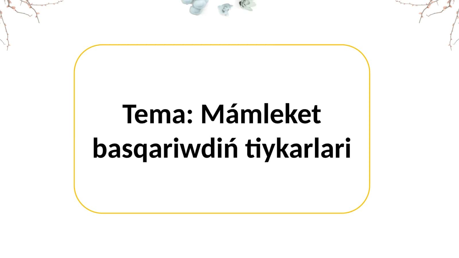 Mámleket basqariwdiń tiykarlari