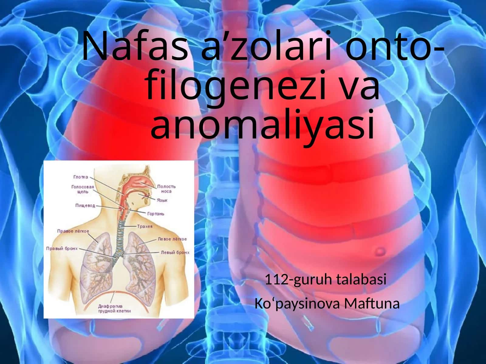 Nafasaʼzolarionto-filogenezivaanomaliyasi