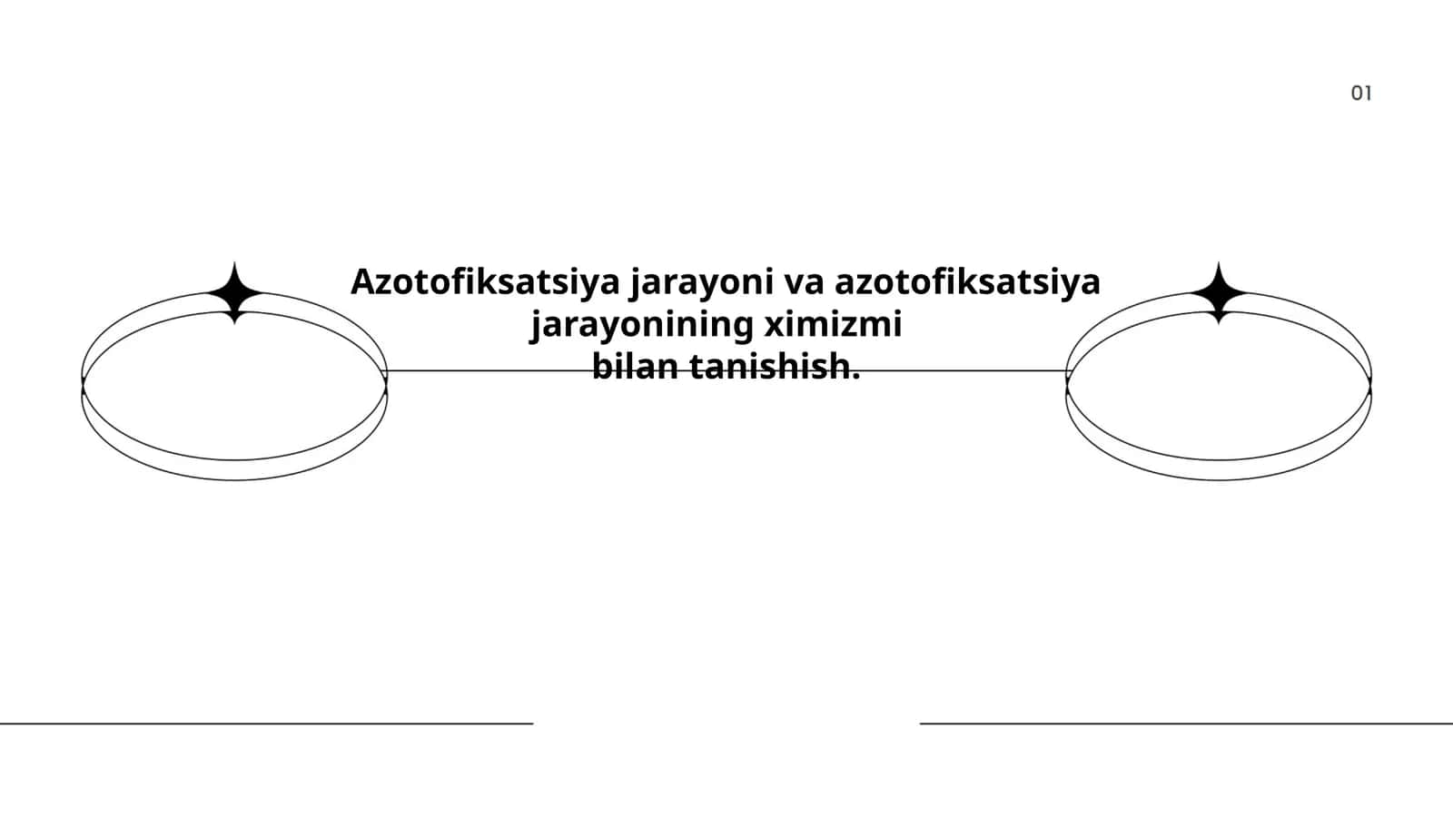 Azotofiksatsiya jarayoni va azotofiksatsiya jarayonining ximizmi bilan tanishish