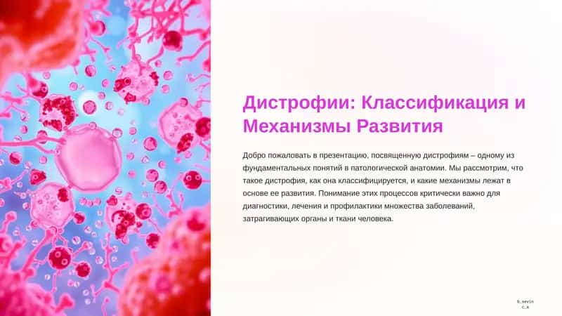 Дистрофия. Классификация и механизмы.
