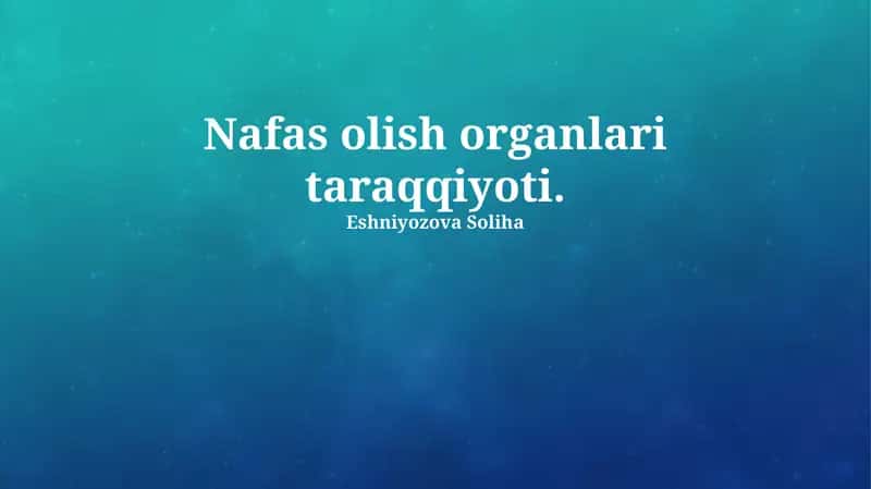 Nafas olish organlari taraqqiyoti