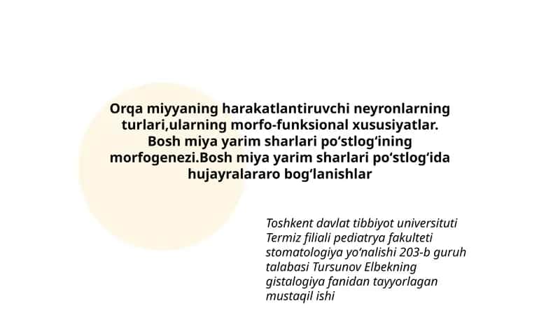 Bosh miya yarim sharlari poʻstlogʻining morfogenezi